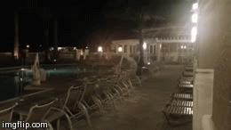 image tagged in gifs | made w/ Imgflip video-to-gif maker