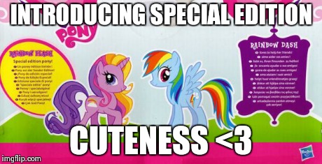 Introducing a special edition x | INTRODUCING SPECIAL EDITION CUTENESS <3 | image tagged in introducing a special edition x | made w/ Imgflip meme maker
