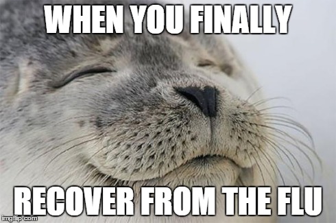 Satisfied Seal | WHEN YOU FINALLY RECOVER FROM THE FLU | image tagged in memes,satisfied seal | made w/ Imgflip meme maker