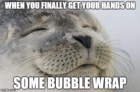 Satisfied Seal | WHEN YOU FINALLY GET YOUR HANDS ON SOME BUBBLE WRAP | image tagged in memes,satisfied seal | made w/ Imgflip meme maker