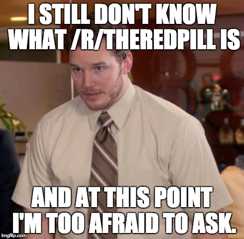 Afraid To Ask Andy | I STILL DON'T KNOW WHAT /R/THEREDPILL IS AND AT THIS POINT I'M TOO AFRAID TO ASK. | image tagged in and at this point i am to afraid to ask | made w/ Imgflip meme maker