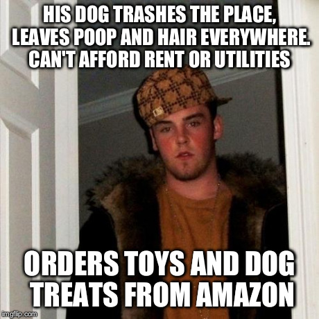 Scumbag Steve Meme | HIS DOG TRASHES THE PLACE, LEAVES POOP AND HAIR EVERYWHERE. CAN'T AFFORD RENT OR UTILITIES ORDERS TOYS AND DOG TREATS FROM AMAZON | image tagged in memes,scumbag steve | made w/ Imgflip meme maker