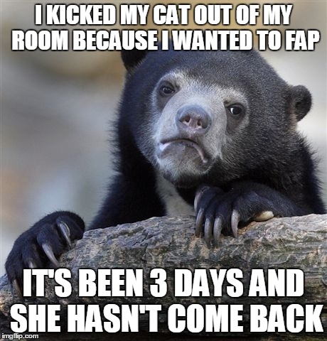 Confession Bear Meme | I KICKED MY CAT OUT OF MY ROOM BECAUSE I WANTED TO FAP IT'S BEEN 3 DAYS AND SHE HASN'T COME BACK | image tagged in memes,confession bear | made w/ Imgflip meme maker