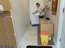 stampede! | image tagged in gifs,kittens | made w/ Imgflip video-to-gif maker
