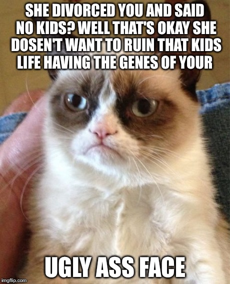 Grumpy Cat | SHE DIVORCED YOU AND SAID NO KIDS? WELL THAT'S OKAY SHE DOSEN'T WANT TO RUIN THAT KIDS LIFE HAVING THE GENES OF YOUR UGLY ASS FACE | image tagged in memes,grumpy cat | made w/ Imgflip meme maker