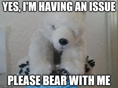 YES, I'M HAVING AN ISSUE PLEASE BEAR WITH ME | image tagged in bear with me | made w/ Imgflip meme maker