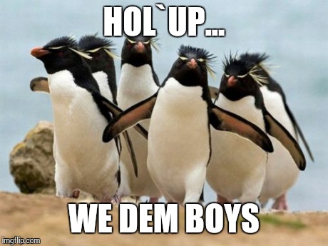 Penguin Gang Meme | HOL`UP... WE DEM BOYS | image tagged in memes,penguin gang | made w/ Imgflip meme maker