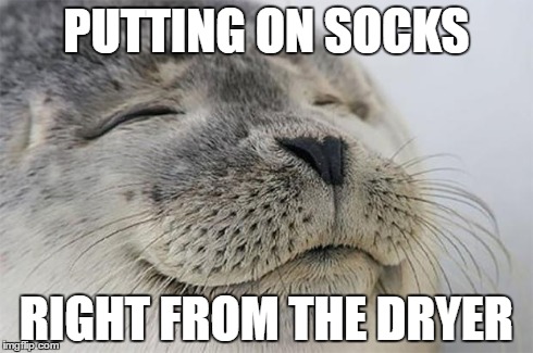 Satisfied Seal | PUTTING ON SOCKS RIGHT FROM THE DRYER | image tagged in memes,satisfied seal,AdviceAnimals | made w/ Imgflip meme maker