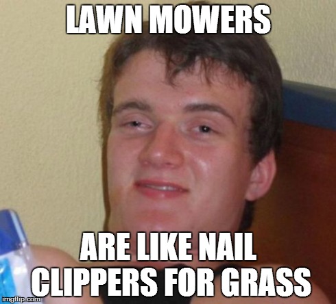 10 Guy | LAWN MOWERS ARE LIKE NAIL CLIPPERS FOR GRASS | image tagged in memes,10 guy | made w/ Imgflip meme maker