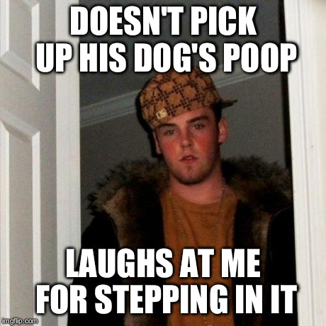 Scumbag Steve | DOESN'T PICK UP HIS DOG'S POOP LAUGHS AT ME FOR STEPPING IN IT | image tagged in memes,scumbag steve,funny | made w/ Imgflip meme maker