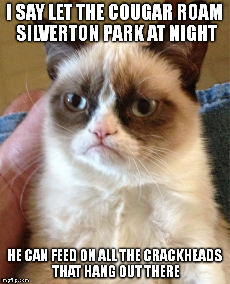 Grumpy Cat | I SAY LET THE COUGAR ROAM SILVERTON PARK AT NIGHT HE CAN FEED ON ALL THE CRACKHEADS THAT HANG OUT THERE | image tagged in memes,grumpy cat | made w/ Imgflip meme maker