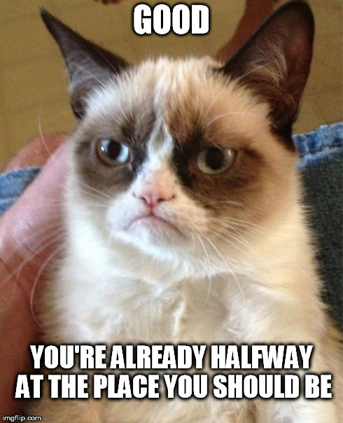 Grumpy Cat Meme | GOOD YOU'RE ALREADY HALFWAY AT THE PLACE YOU SHOULD BE | image tagged in memes,grumpy cat | made w/ Imgflip meme maker