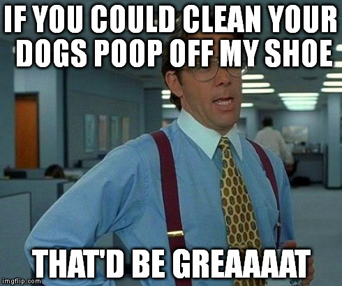 That Would Be Great Meme | IF YOU COULD CLEAN YOUR DOGS POOP OFF MY SHOE THAT'D BE GREAAAAT | image tagged in memes,that would be great | made w/ Imgflip meme maker