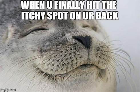 Satisfied Seal | WHEN U FINALLY HIT THE ITCHY SPOT ON UR BACK | image tagged in memes,satisfied seal | made w/ Imgflip meme maker