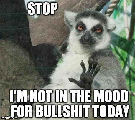 Stoner Lemur Meme | STOP I'M NOT IN THE MOOD FOR BULLSHIT TODAY | image tagged in memes,stoner lemur | made w/ Imgflip meme maker