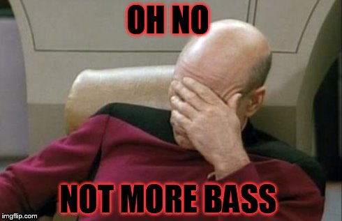 Captain Picard Facepalm Meme | OH NO NOT MORE BASS | image tagged in memes,captain picard facepalm | made w/ Imgflip meme maker