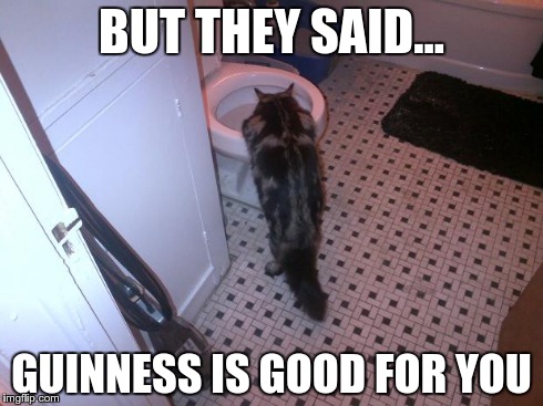 BUT THEY SAID... GUINNESS IS GOOD FOR YOU | image tagged in toilet water- not just for dogs | made w/ Imgflip meme maker