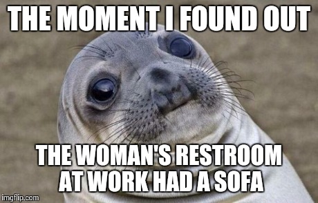 Awkward Moment Sealion Meme | THE MOMENT I FOUND OUT THE WOMAN'S RESTROOM AT WORK HAD A SOFA | image tagged in memes,awkward moment sealion | made w/ Imgflip meme maker