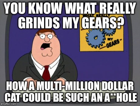 Peter Griffin News Meme | YOU KNOW WHAT REALLY GRINDS MY GEARS? HOW A MULTI-MILLION DOLLAR CAT COULD BE SUCH AN A**HOLE | image tagged in memes,peter griffin news | made w/ Imgflip meme maker