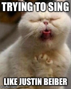 Sing like Justin beiber | TRYING TO SING LIKE JUSTIN BEIBER | image tagged in justin bieber,animals | made w/ Imgflip meme maker