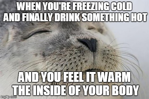 Satisfied Seal | WHEN YOU'RE FREEZING COLD AND FINALLY DRINK SOMETHING HOT AND YOU FEEL IT WARM THE INSIDE OF YOUR BODY | image tagged in memes,satisfied seal,AdviceAnimals | made w/ Imgflip meme maker