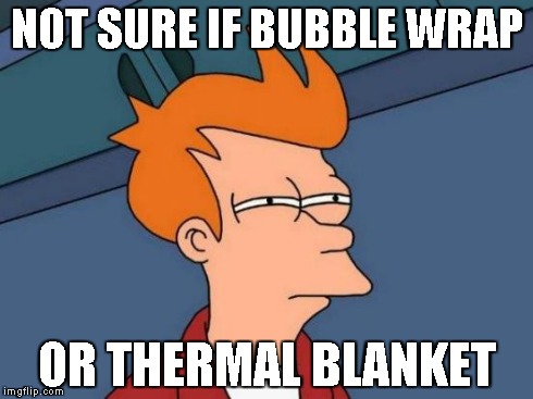 Futurama Fry Meme | NOT SURE IF BUBBLE WRAP OR THERMAL BLANKET | image tagged in memes,futurama fry | made w/ Imgflip meme maker