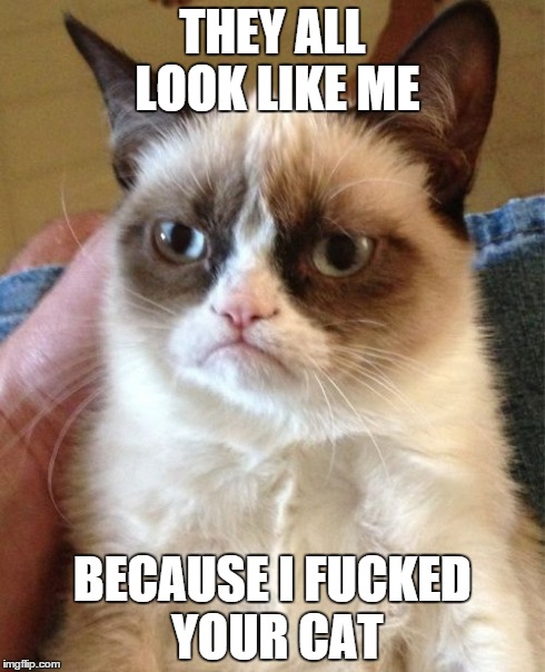 Grumpy Cat Meme | THEY ALL LOOK LIKE ME BECAUSE I F**KED YOUR CAT | image tagged in memes,grumpy cat | made w/ Imgflip meme maker