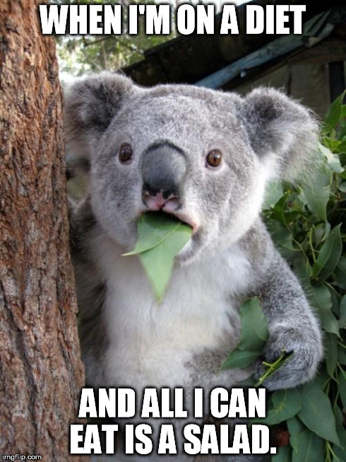 Surprised Koala | WHEN I'M ON A DIET AND ALL I CAN EAT IS A SALAD. | image tagged in memes,surprised koala | made w/ Imgflip meme maker