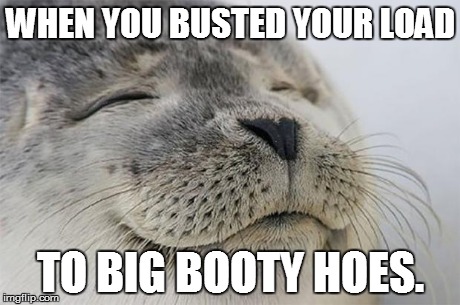 Satisfied Seal | WHEN YOU BUSTED YOUR LOAD TO BIG BOOTY HOES. | image tagged in memes,satisfied seal | made w/ Imgflip meme maker