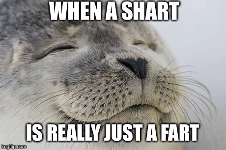 Shart Seal | WHEN A SHART IS REALLY JUST A FART | image tagged in memes,satisfied seal,fart,poop,shit | made w/ Imgflip meme maker