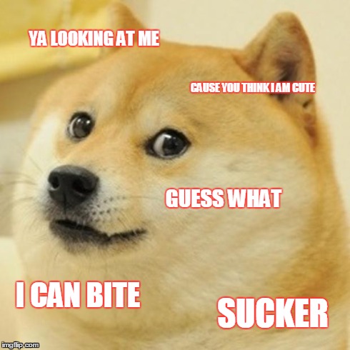 Doge Meme | YA LOOKING AT ME CAUSE YOU THINK I AM CUTE GUESS WHAT I CAN BITE SUCKER | image tagged in memes,doge | made w/ Imgflip meme maker