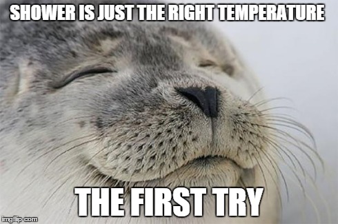 Satisfied Seal | SHOWER IS JUST THE RIGHT TEMPERATURE THE FIRST TRY | image tagged in memes,satisfied seal | made w/ Imgflip meme maker