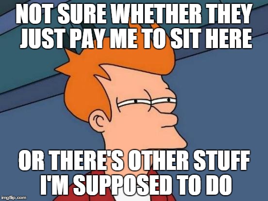 Futurama Fry Meme | NOT SURE WHETHER THEY JUST PAY ME TO SIT HERE OR THERE'S OTHER STUFF I'M SUPPOSED TO DO | image tagged in memes,futurama fry,AdviceAnimals | made w/ Imgflip meme maker