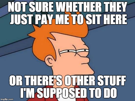 Futurama Fry | NOT SURE WHETHER THEY JUST PAY ME TO SIT HERE OR THERE'S OTHER STUFF I'M SUPPOSED TO DO | image tagged in memes,futurama fry,AdviceAnimals | made w/ Imgflip meme maker