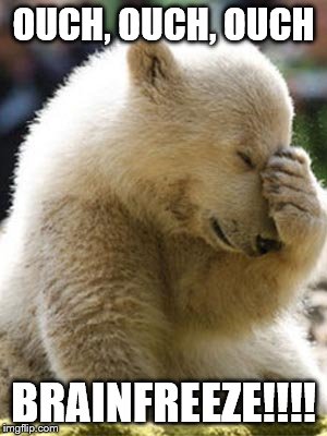 Facepalm Bear Meme | OUCH, OUCH, OUCH BRAINFREEZE!!!! | image tagged in memes,facepalm bear | made w/ Imgflip meme maker