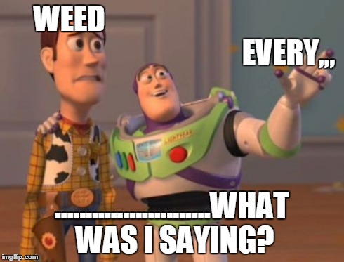 X, X Everywhere | WEED                                                                             EVERY,,, .........................WHAT WAS I SAYING? | image tagged in memes,x x everywhere | made w/ Imgflip meme maker