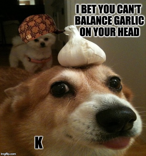 I BET YOU CAN'T BALANCE GARLIC ON YOUR HEAD K | made w/ Imgflip meme maker