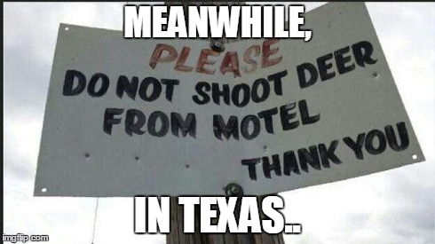 MEANWHILE, IN TEXAS.. | image tagged in texas | made w/ Imgflip meme maker