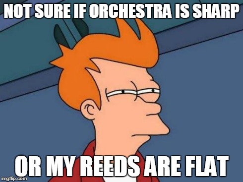 Futurama Fry | NOT SURE IF ORCHESTRA IS SHARP OR MY REEDS ARE FLAT | image tagged in memes,futurama fry | made w/ Imgflip meme maker