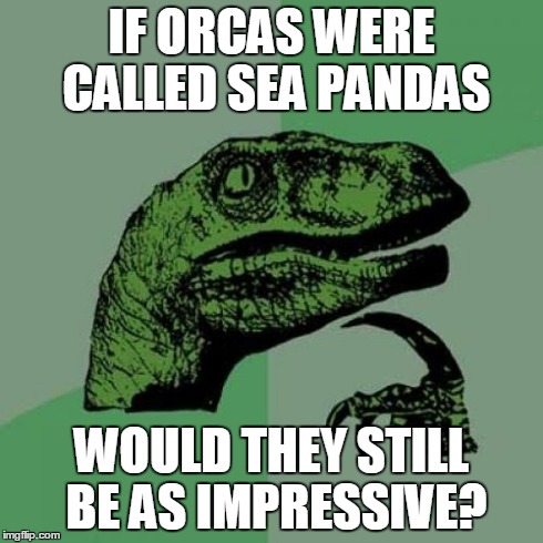 It's a black and white issue. | IF ORCAS WERE CALLED SEA PANDAS WOULD THEY STILL BE AS IMPRESSIVE? | image tagged in memes,philosoraptor | made w/ Imgflip meme maker