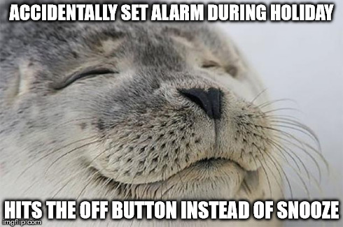 Satisfied Seal | ACCIDENTALLY SET ALARM DURING HOLIDAY HITS THE OFF BUTTON INSTEAD OF SNOOZE | image tagged in memes,satisfied seal,AdviceAnimals | made w/ Imgflip meme maker