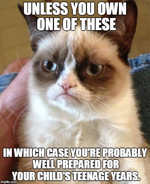 Grumpy Cat Meme | UNLESS YOU OWN ONE OF THESE IN WHICH CASE YOU'RE PROBABLY WELL PREPARED FOR YOUR CHILD'S TEENAGE YEARS. | image tagged in memes,grumpy cat | made w/ Imgflip meme maker