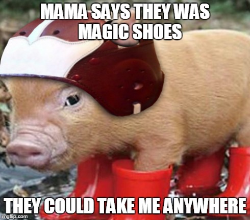 Mama says... | MAMA SAYS THEY WAS      MAGIC SHOES THEY COULD TAKE ME ANYWHERE | image tagged in pig,piglet,magic shoes,mama says,forrest gump | made w/ Imgflip meme maker