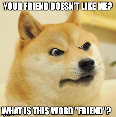 Disappointed Doge | YOUR FRIEND DOESN'T LIKE ME? WHAT IS THIS WORD "FRIEND"? | image tagged in disappointed doge | made w/ Imgflip meme maker