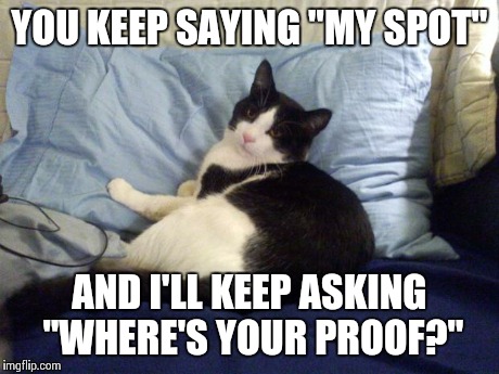 Mine | YOU KEEP SAYING "MY SPOT" AND I'LL KEEP ASKING "WHERE'S YOUR PROOF?" | image tagged in mine | made w/ Imgflip meme maker