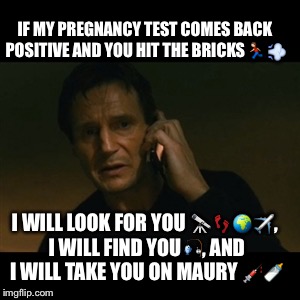 Liam Neeson Taken | IF MY PREGNANCY TEST COMES BACK POSITIVE AND YOU HIT THE BRICKS | image tagged in memes,liam neeson taken,funny meme,maury,taken,pregnant | made w/ Imgflip meme maker