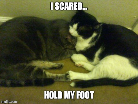 I SCARED... HOLD MY FOOT | image tagged in i scared | made w/ Imgflip meme maker