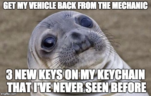 Awkward Moment Sealion | GET MY VEHICLE BACK FROM THE MECHANIC 3 NEW KEYS ON MY KEYCHAIN THAT I'VE NEVER SEEN BEFORE | image tagged in memes,awkward moment sealion,AdviceAnimals | made w/ Imgflip meme maker