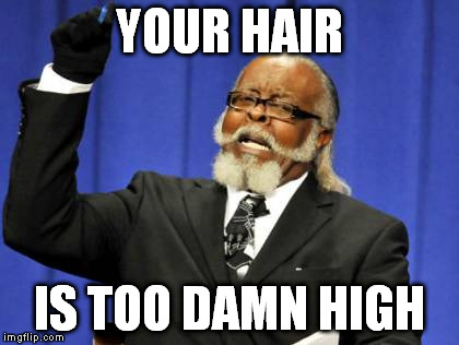 Too Damn High Meme | YOUR HAIR IS TOO DAMN HIGH | image tagged in memes,too damn high | made w/ Imgflip meme maker