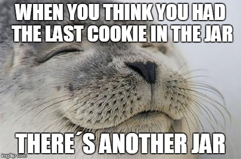 Satisfied Seal | WHEN YOU THINK YOU HAD THE LAST COOKIE IN THE JAR THERE´S ANOTHER JAR | image tagged in memes,satisfied seal | made w/ Imgflip meme maker